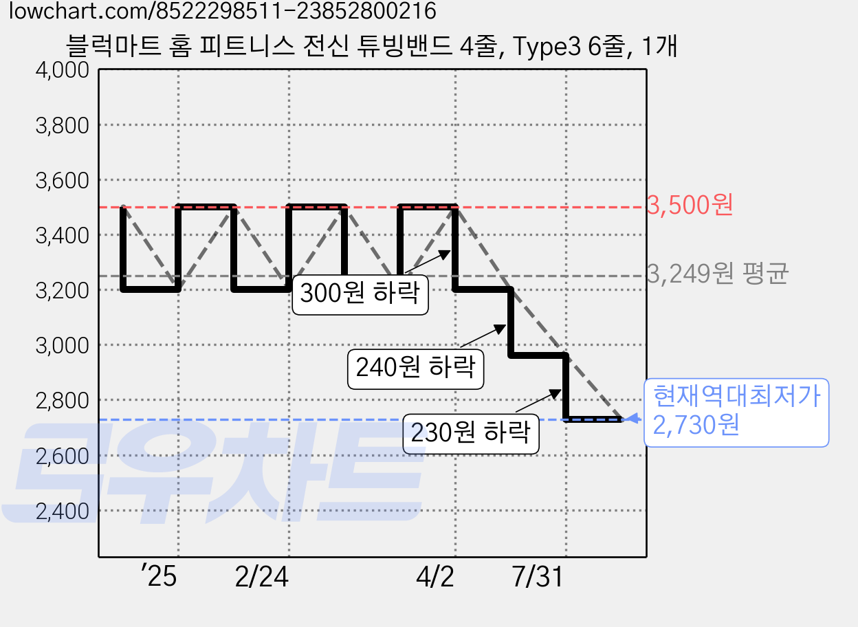 블럭마트 홈 피트니스 전신 튜빙밴드 4줄, Type3 6줄, 1개 가격 변동 차트, 현재가 2,730원, 역대최저가