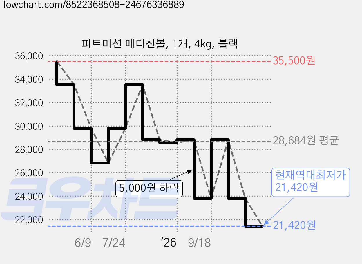 피트미션 메디신볼, 1개, 4kg, 블랙 가격 변동 차트, 현재가 21,420원, 역대최저가