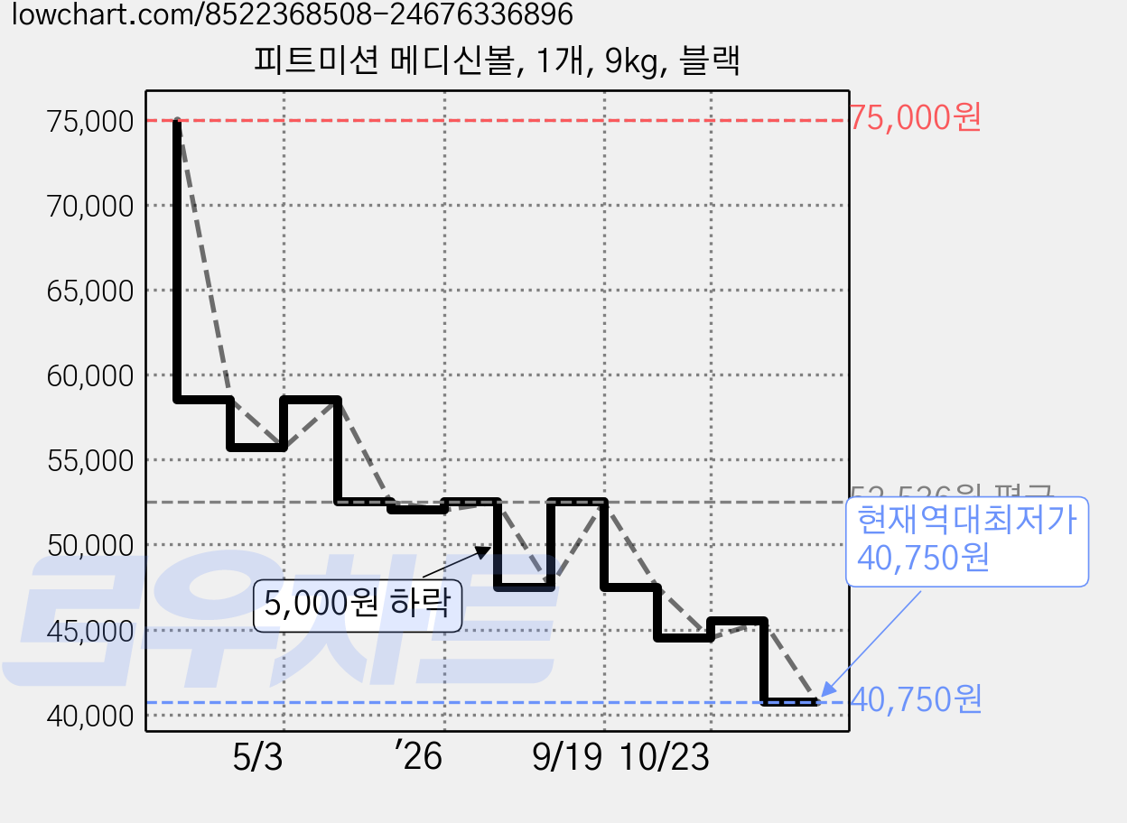 피트미션 메디신볼, 1개, 9kg, 블랙 가격 변동 차트, 현재가 40,750원, 역대최저가
