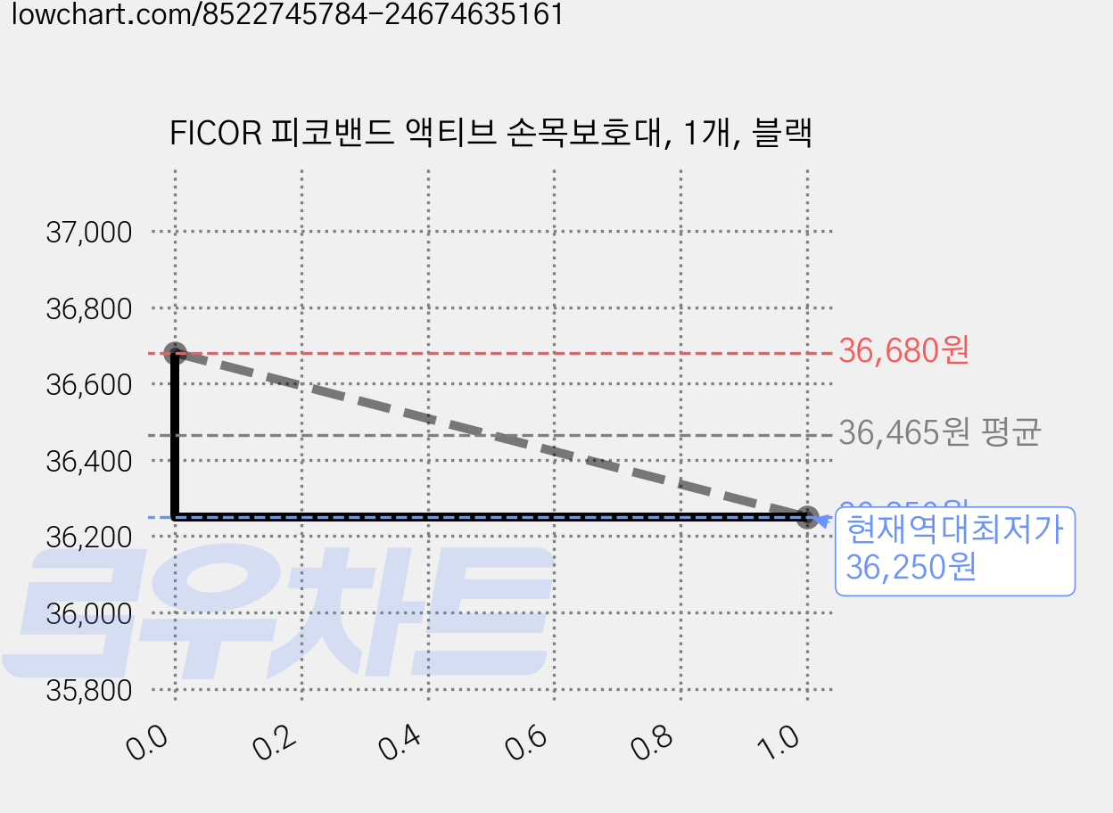 FICOR 피코밴드 액티브 손목보호대, 1개, 블랙 가격 변동 차트, 현재가 36,250원, 역대최저가