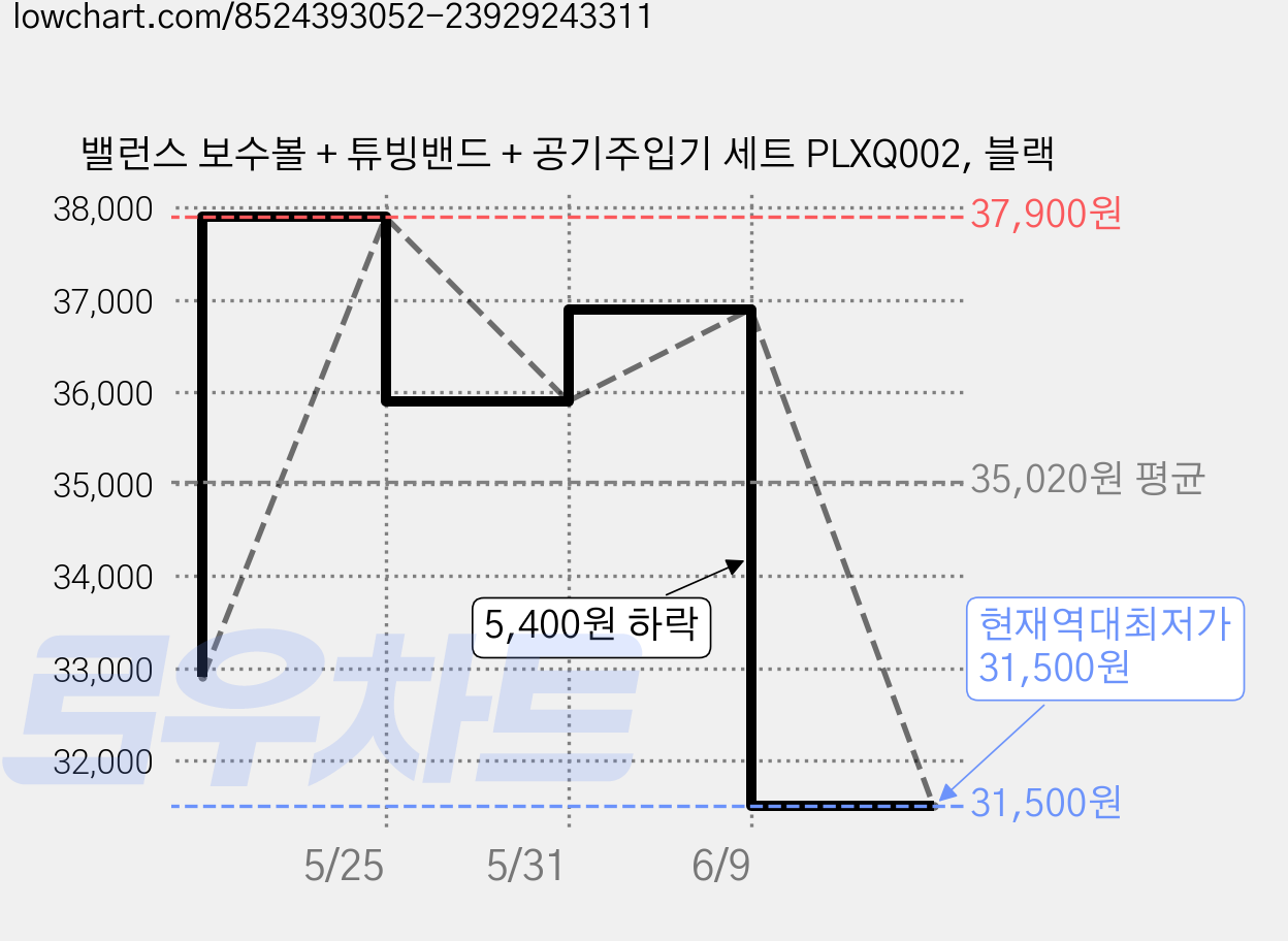 밸런스 보수볼 + 튜빙밴드 + 공기주입기 세트 PLXQ002, 블랙 가격 변동 차트, 현재가 31,500원, 역대최저가