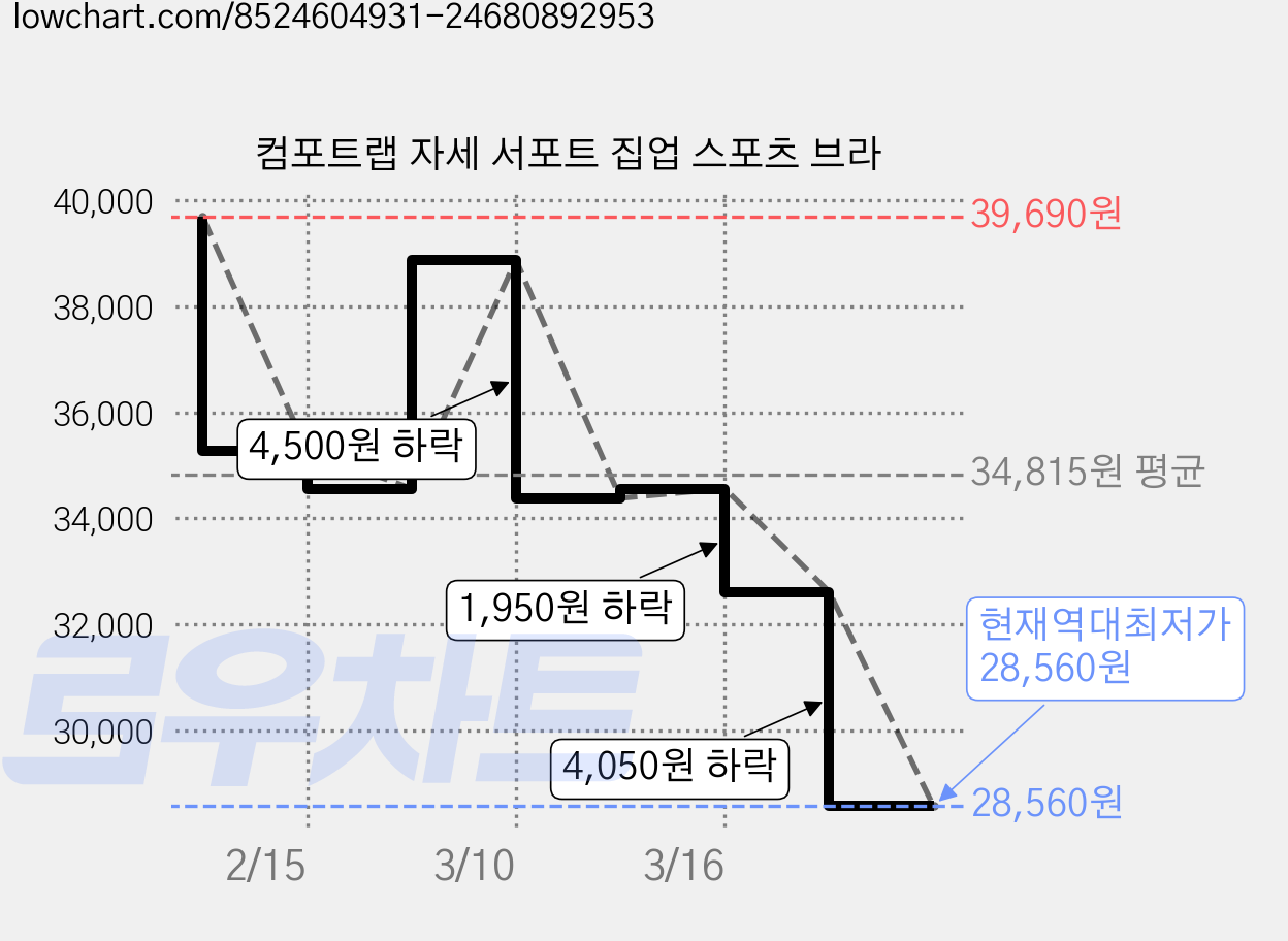 컴포트랩 자세 서포트 집업 스포츠 브라 가격 변동 차트, 현재가 28,560원, 역대최저가