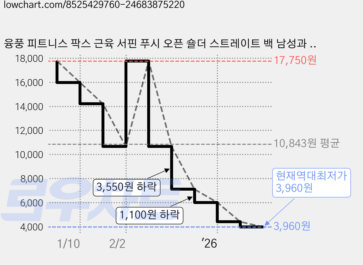 융풍 피트니스 팍스 근육 서핀 푸시 오픈 숄더 스트레이트 백 남성과 여성의 보이지 않는 직선 가슴 높이 어깨 백 훈련 벨트 등 펴기, L(75-85kg), 1개 가격 변동 차트, 현재가 3,960원, 역대최저가
