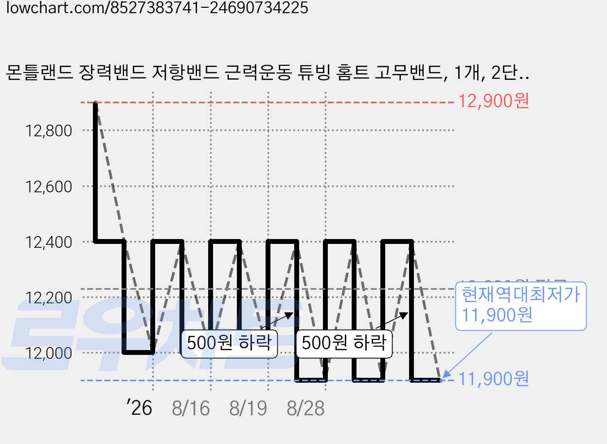 몬틀랜드 장력밴드 저항밴드 근력운동 튜빙 홈트 고무밴드, 1개, 2단계 핑크 가격 변동 차트, 현재가 11,900원, 역대최저가