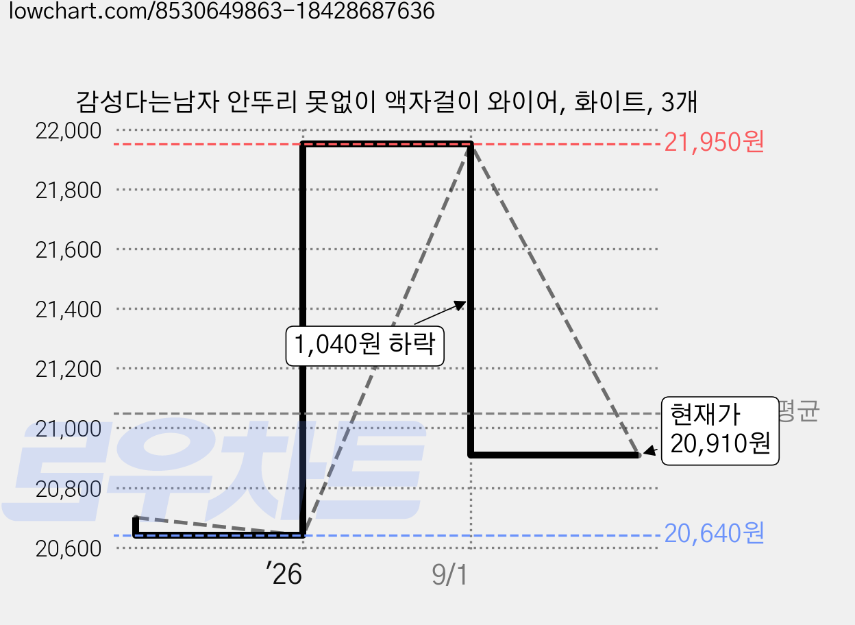 감성다는남자 안뚜리 못없이 액자걸이 와이어, 화이트, 3개 가격 변동 차트, 현재가 20,910원, 관측 최저가 20,640원