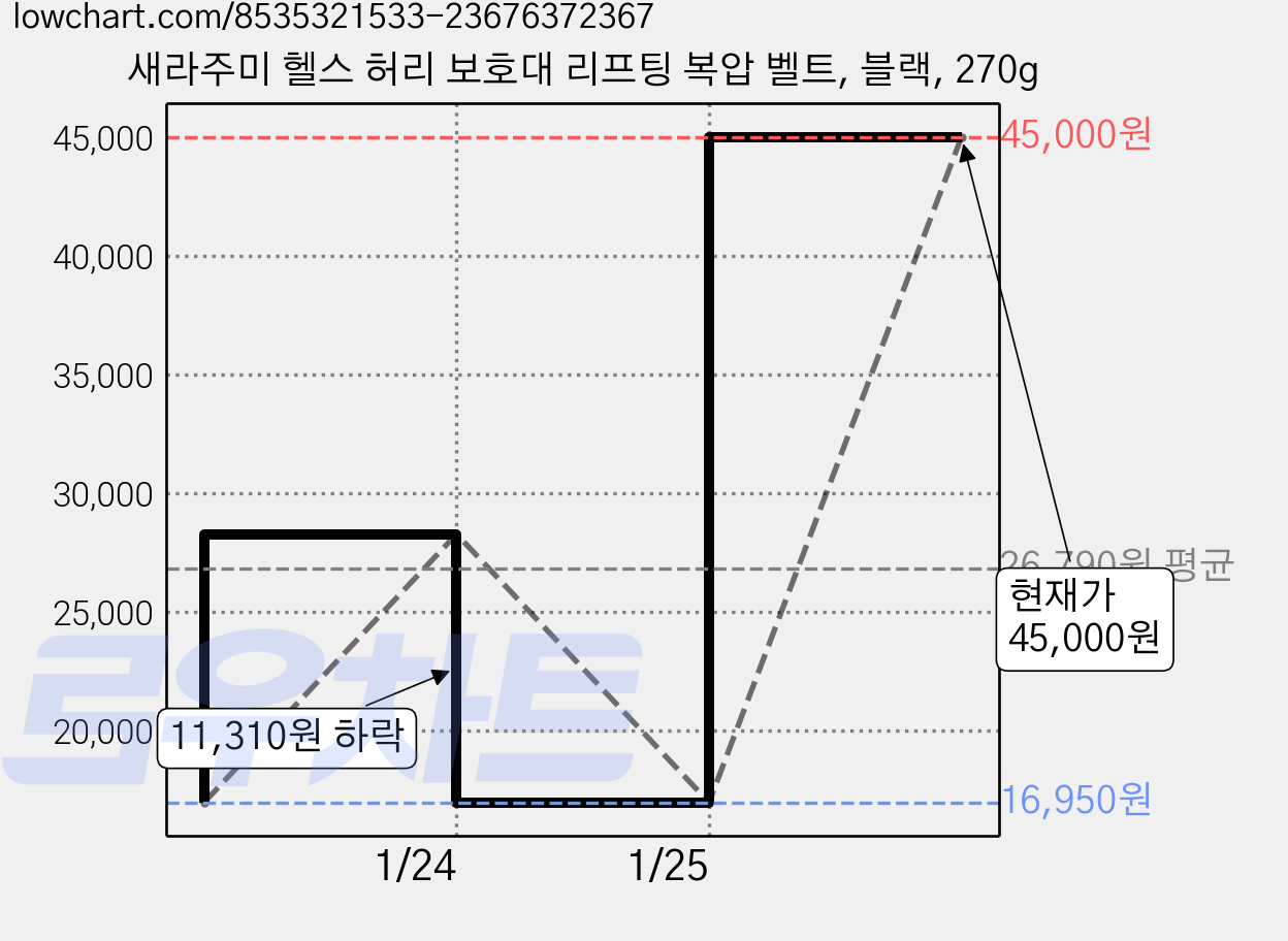 새라주미 헬스 허리 보호대 리프팅 복압 벨트, 블랙, 270g 가격 변동 차트, 현재가 45,000원, 역대최저가