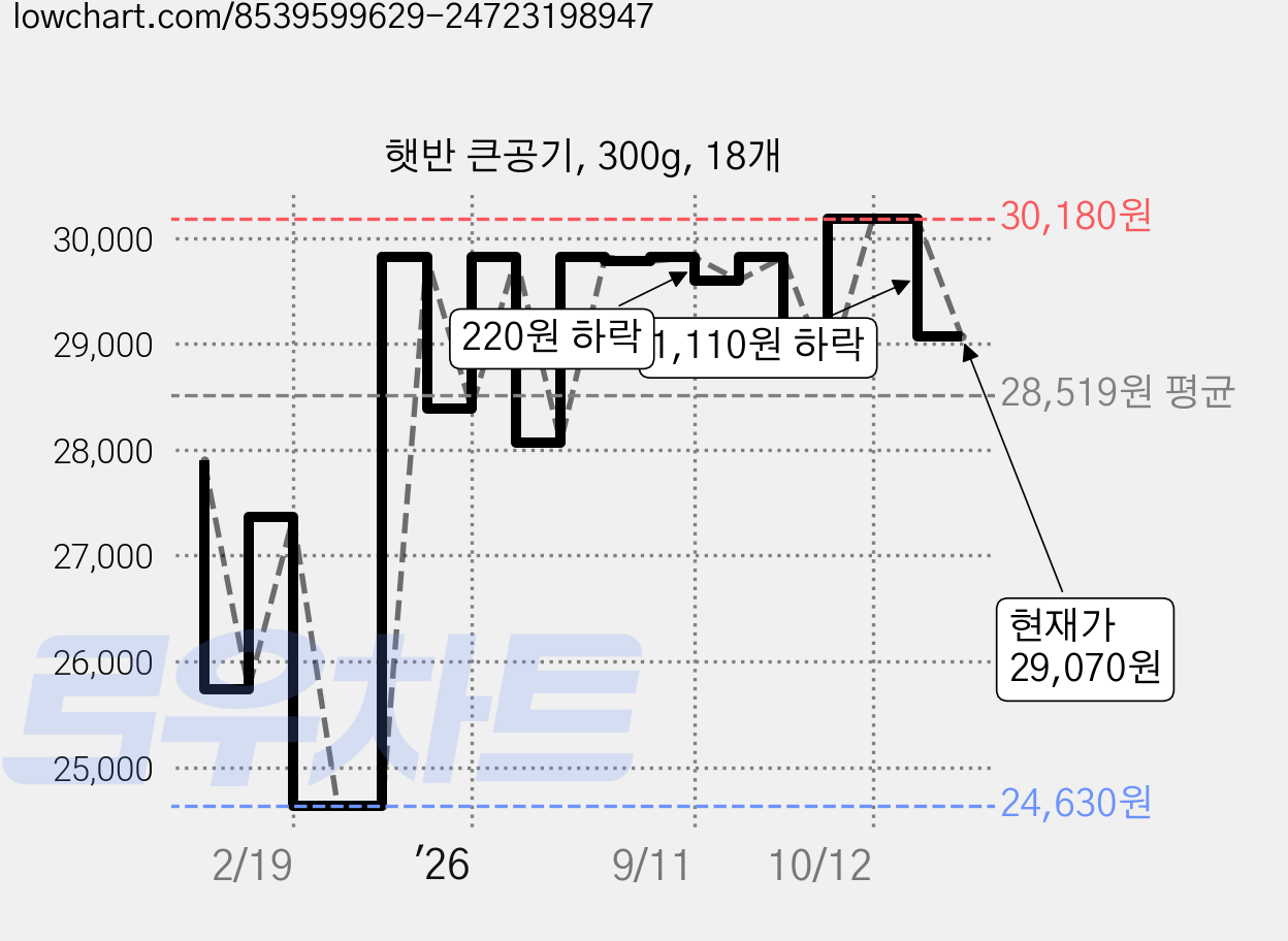 햇반 큰공기, 300g, 18개 가격 변동 차트, 현재가 29,070원, 관측 최저가 24,630원