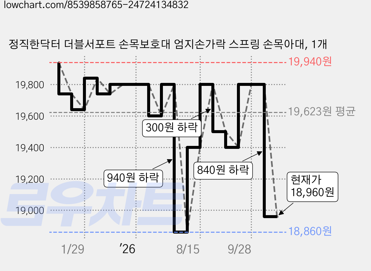 정직한닥터 더블서포트 손목보호대 엄지손가락 스프링 손목아대, 1개 가격 변동 차트, 현재가 18,960원, 관측 최저가 18,860원