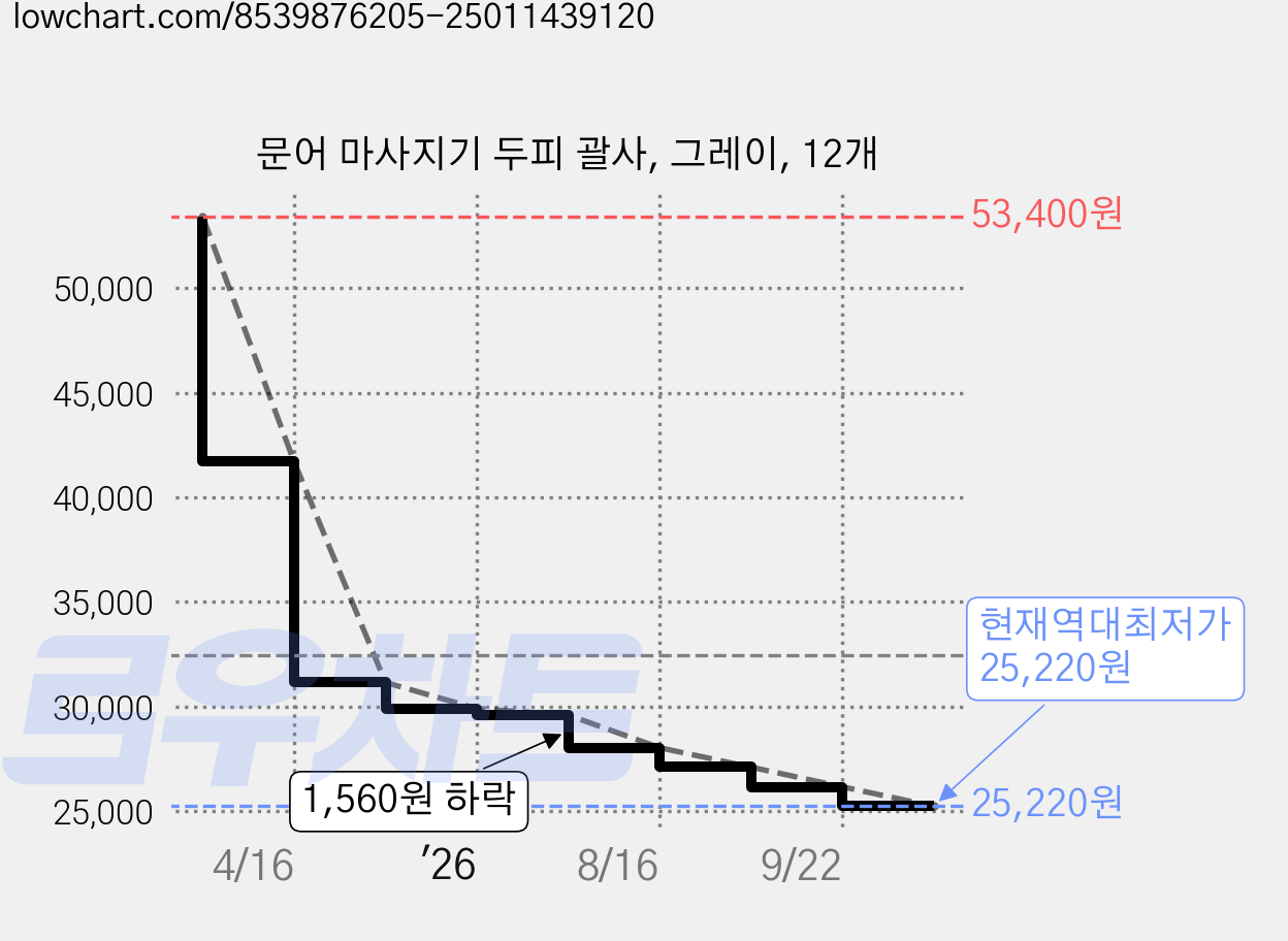 문어 마사지기 두피 괄사, 그레이, 12개 가격 변동 차트, 현재가 25,220원, 역대최저가