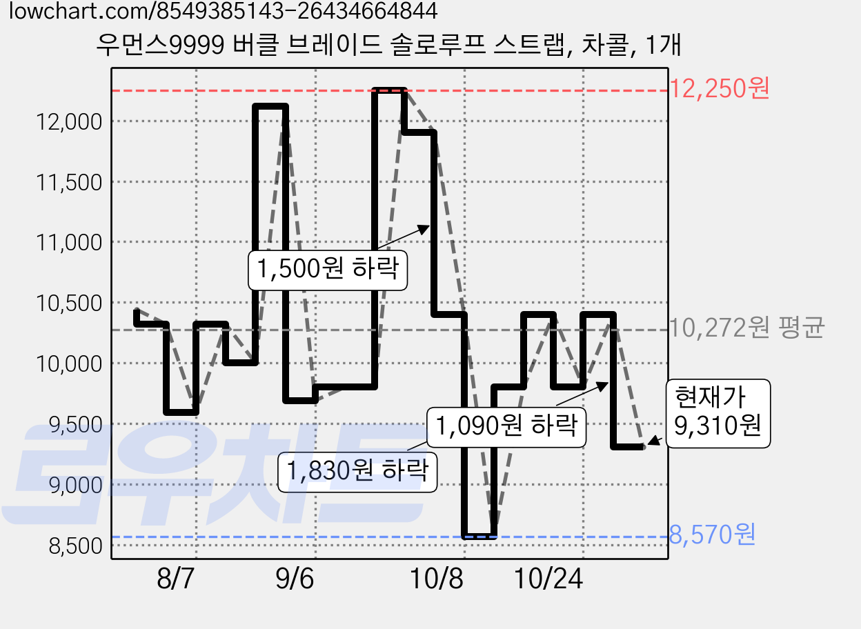 우먼스9999 버클 브레이드 솔로루프 스트랩, 차콜, 1개 가격 변동 차트, 현재가 9,310원, 관측 최저가 8,570원