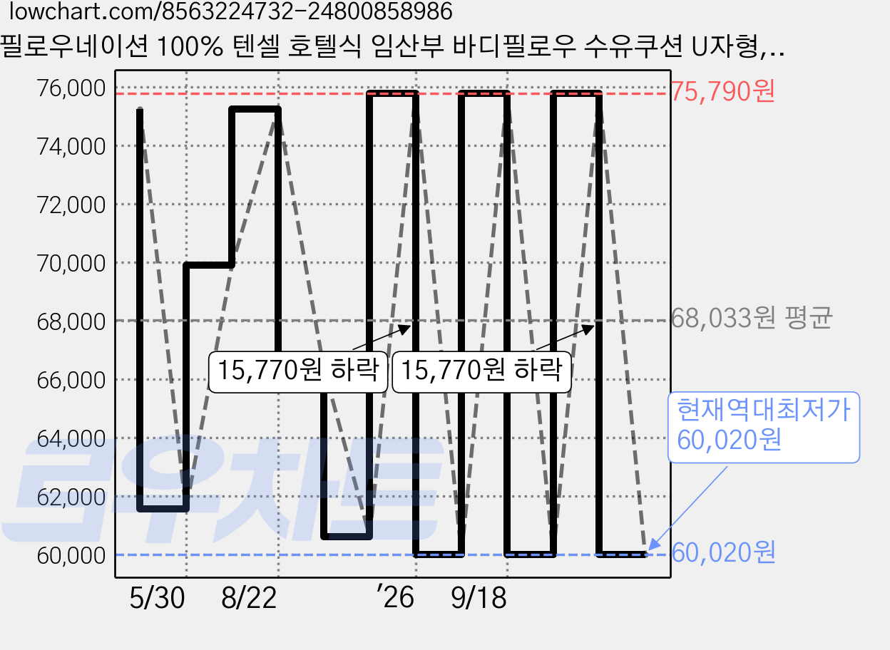 필로우네이션 100% 텐셀 호텔식 임산부 바디필로우 수유쿠션 U자형, 다크 그레이 가격 변동 차트, 현재가 60,020원, 역대최저가
