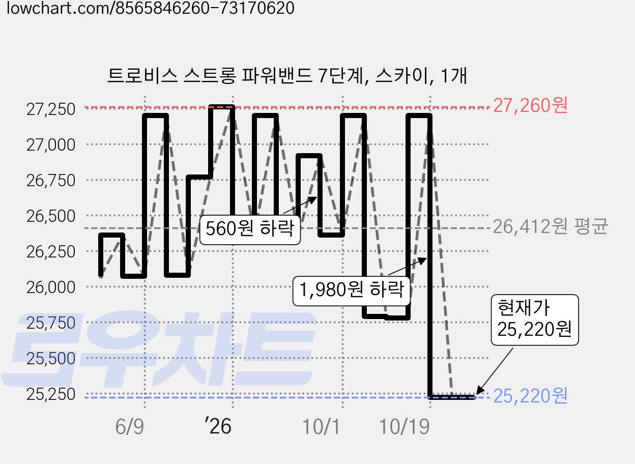 트로비스 스트롱 파워밴드 7단계, 스카이, 1개 가격 변동 차트, 현재가 25,220원, 관측 최저가 24,120원
