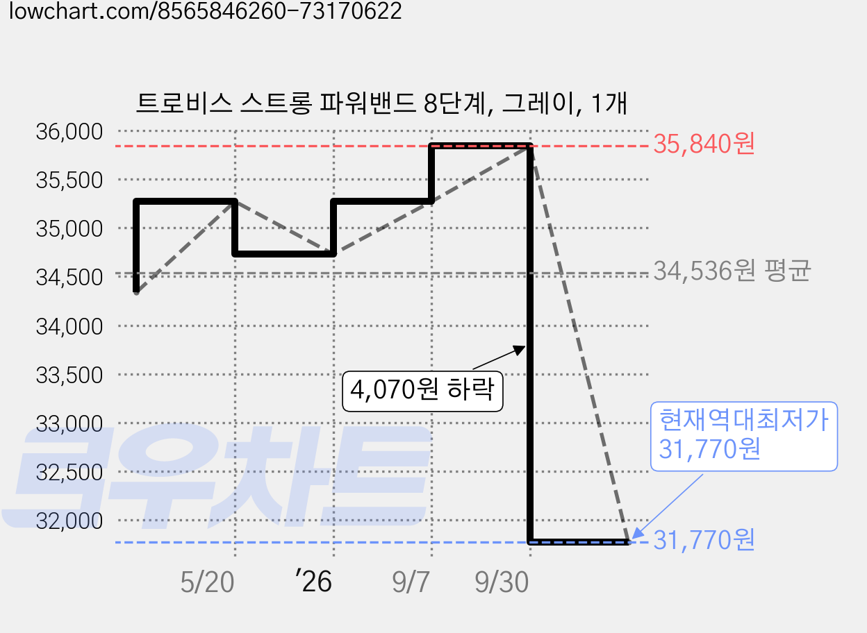 트로비스 스트롱 파워밴드 8단계, 그레이, 1개 가격 변동 차트, 현재가 31,770원, 역대최저가