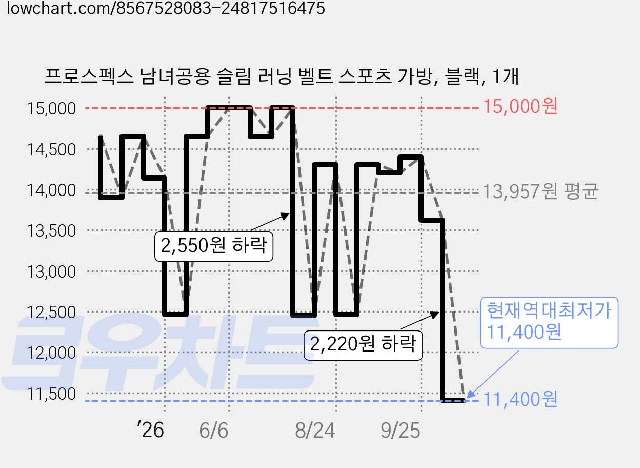 프로스펙스 남녀공용 슬림 러닝 벨트 스포츠 가방, 블랙, 1개 가격 변동 차트, 현재가 11,400원, 역대최저가