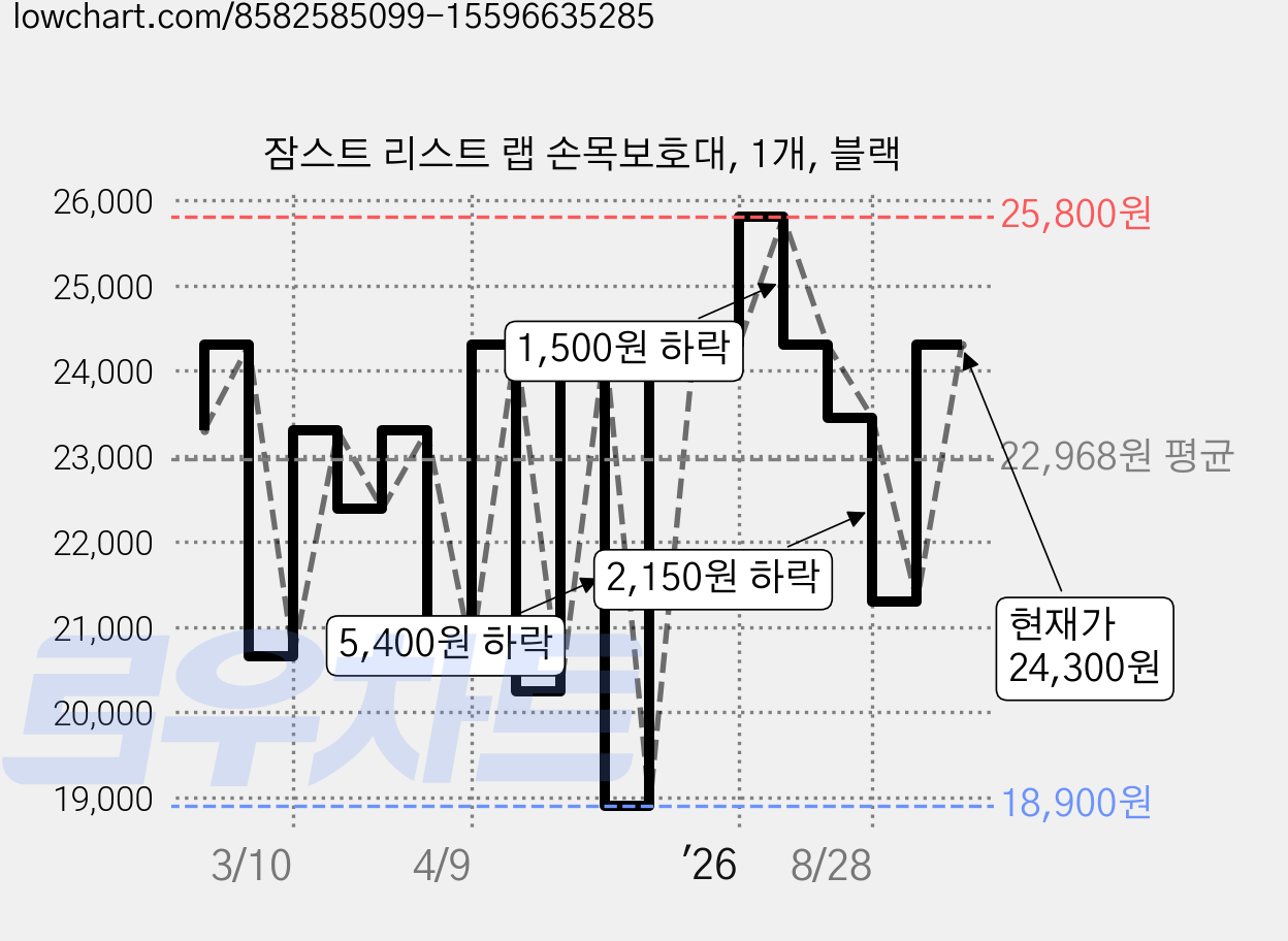 잠스트 리스트 랩 손목보호대, 1개, 블랙 가격 변동 차트, 현재가 24,300원, 관측 최저가 18,900원