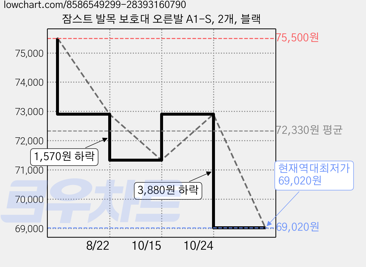 잠스트 발목 보호대 오른발 A1-S, 2개, 블랙 가격 변동 차트, 현재가 69,020원, 역대최저가