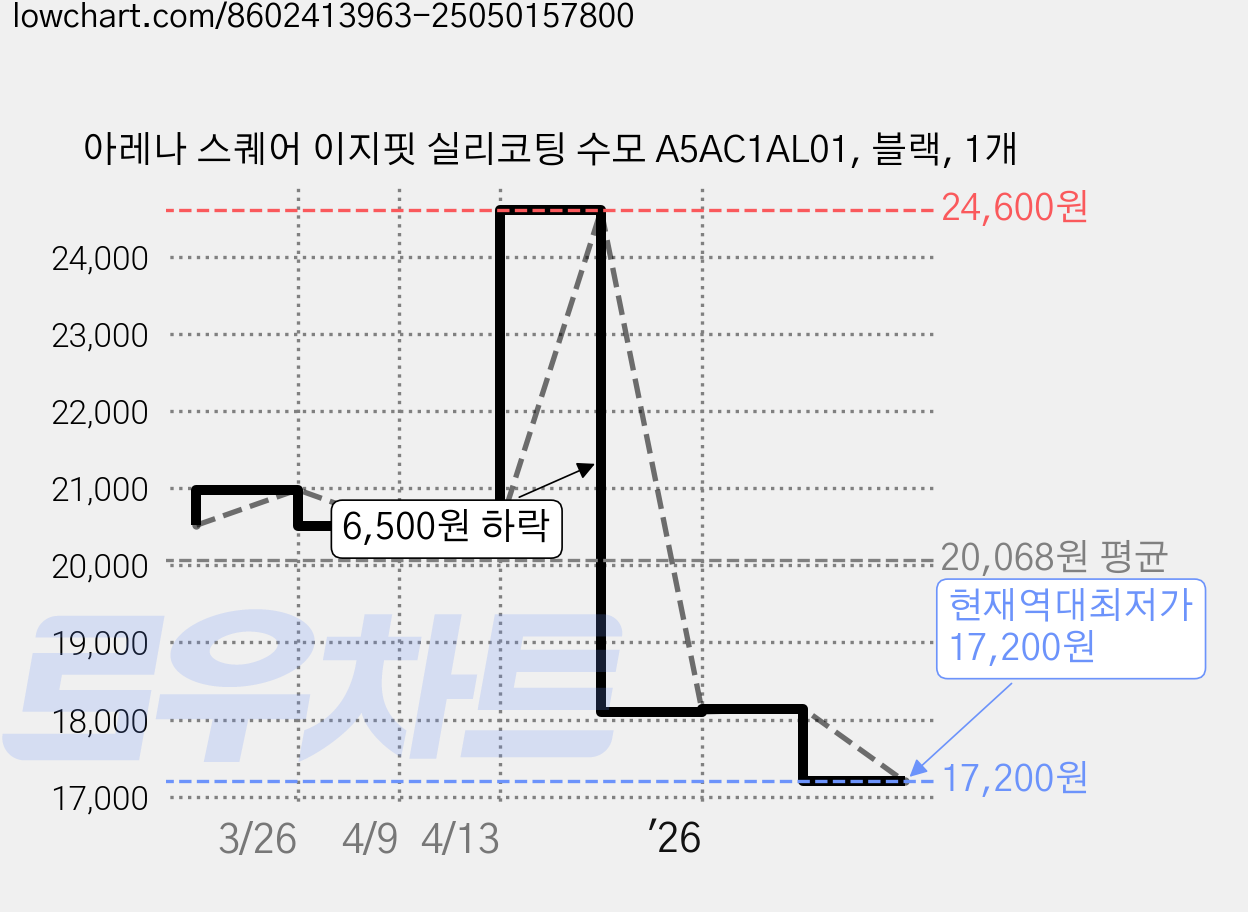 아레나 스퀘어 이지핏 실리코팅 수모 A5AC1AL01, 블랙, 1개 가격 변동 차트, 현재가 17,200원, 역대최저가