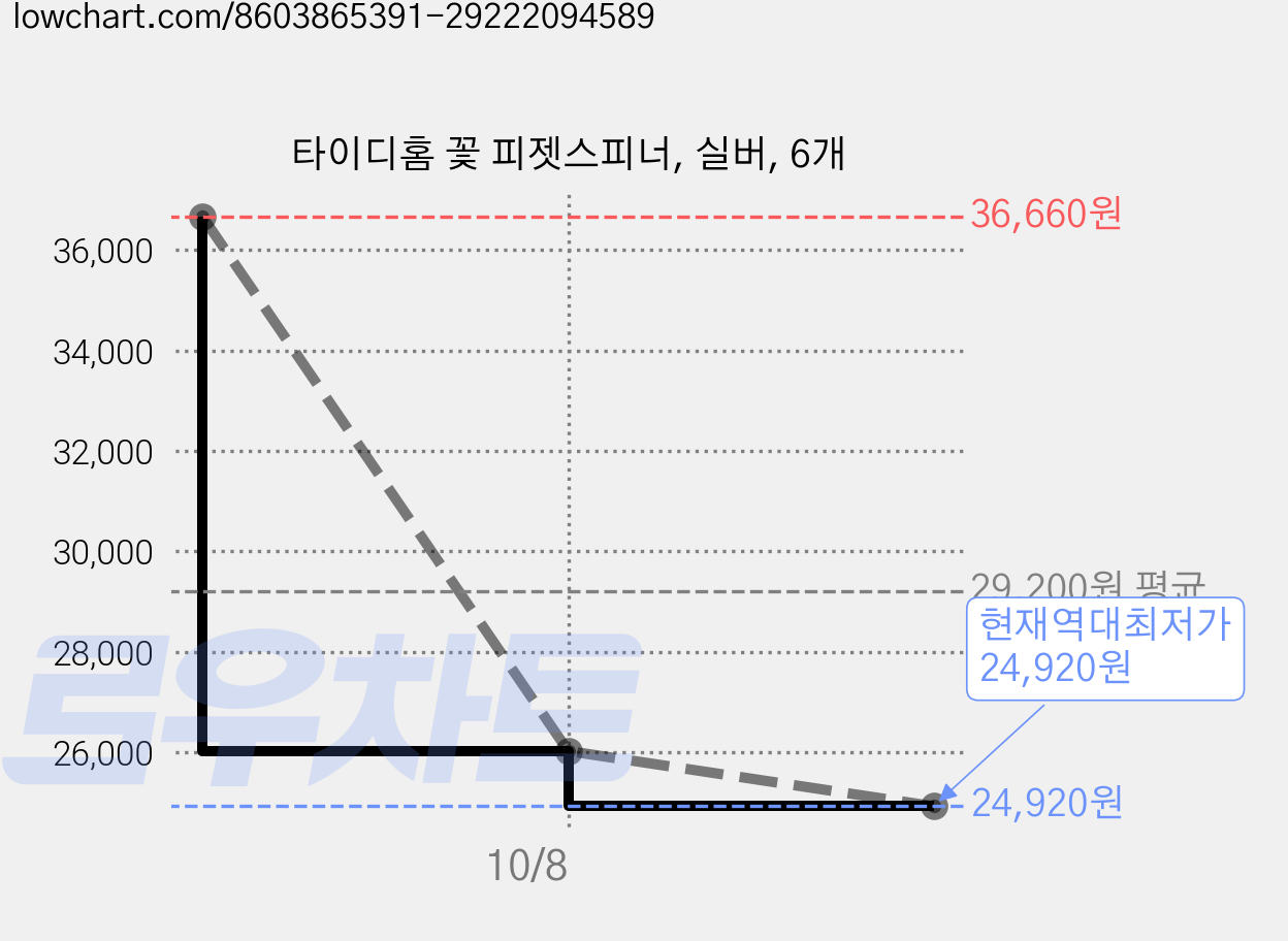 타이디홈 꽃 피젯스피너, 실버, 6개 가격 변동 차트, 현재가 24,920원, 역대최저가