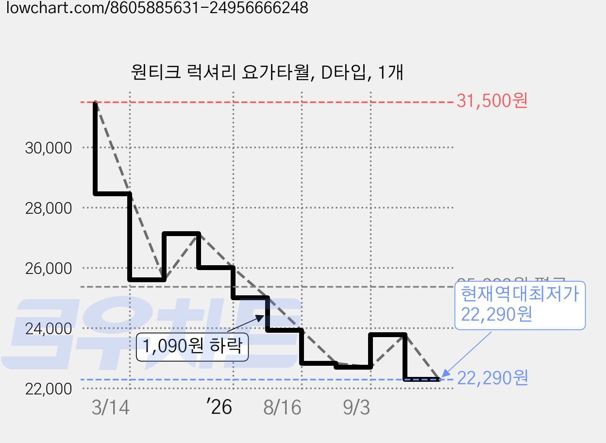 원티크 럭셔리 요가타월, D타입, 1개 가격 변동 차트, 현재가 22,290원, 역대최저가