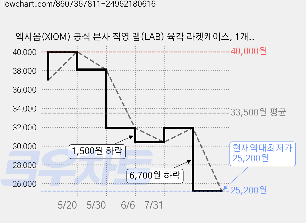 엑시옴(XIOM) 공식 본사 직영 랩(LAB) 육각 라켓케이스, 1개, L 6 가격 변동 차트, 현재가 25,200원, 역대최저가