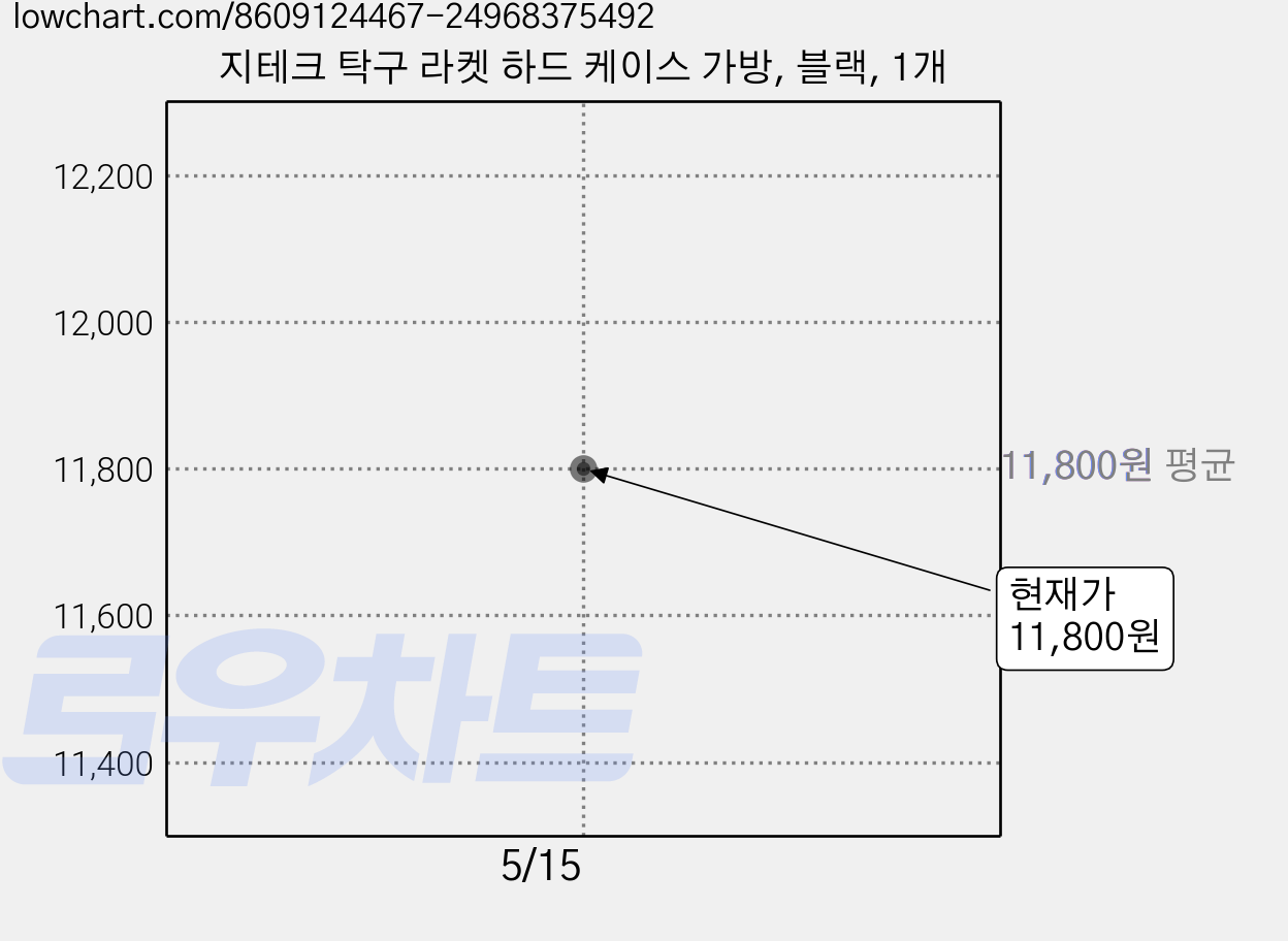 지테크 탁구 라켓 하드 케이스 가방, 블랙, 1개 가격 변동 차트, 현재가 11,800원
