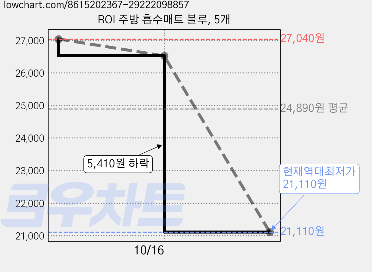 ROI 주방 흡수매트 블루, 5개 가격 변동 차트, 현재가 21,110원, 역대최저가