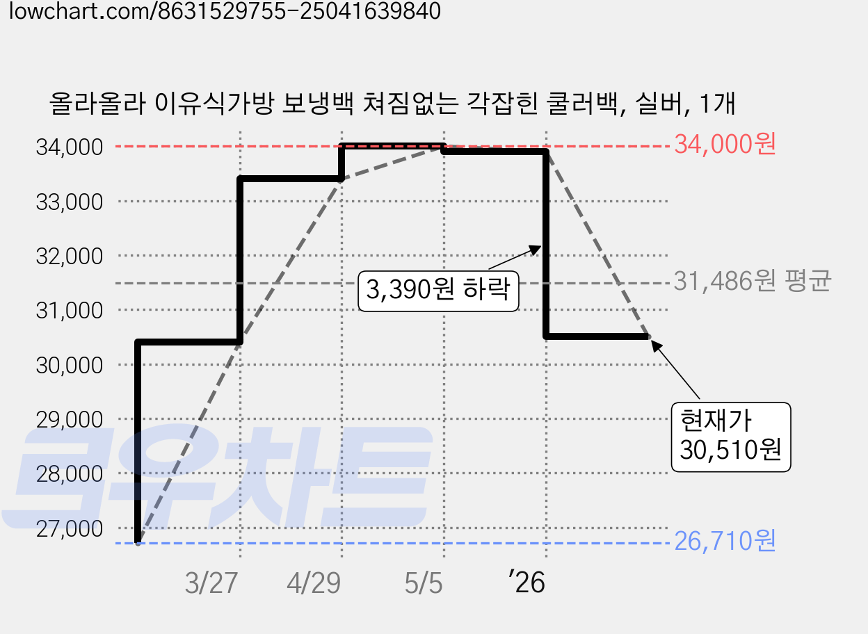 올라올라 이유식가방 보냉백 쳐짐없는 각잡힌 쿨러백, 실버, 1개 가격 변동 차트, 현재가 30,510원, 관측 최저가 26,710원