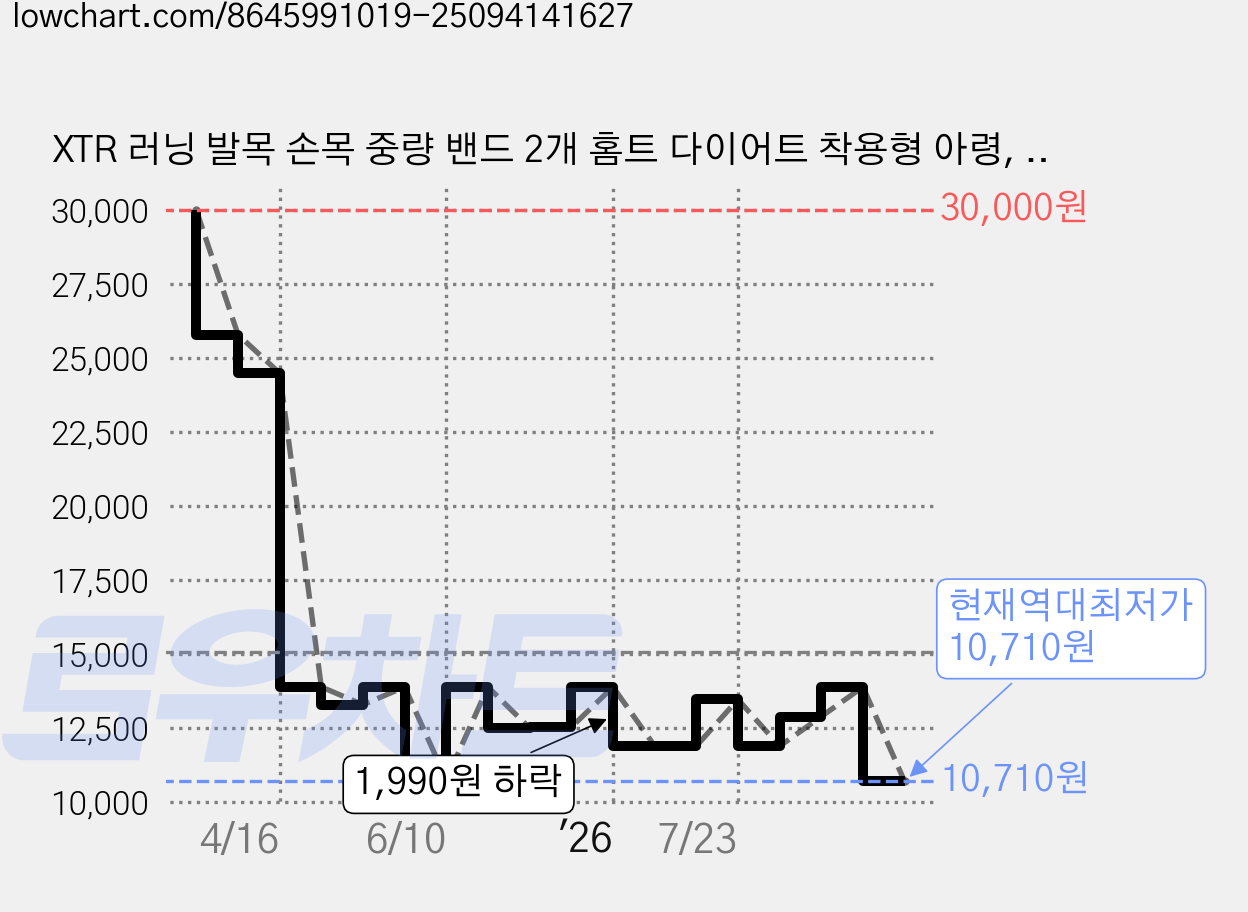 XTR 러닝 발목 손목 중량 밴드 2개 홈트 다이어트 착용형 아령, 500g, 핑크 가격 변동 차트, 현재가 10,710원, 역대최저가