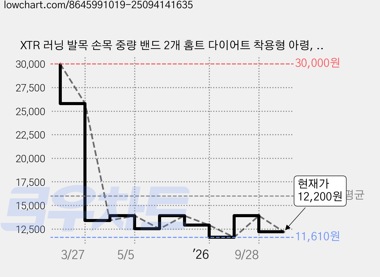 XTR 러닝 발목 손목 중량 밴드 2개 홈트 다이어트 착용형 아령, 500g, 브라운 가격 변동 차트, 현재가 12,200원, 관측 최저가 11,610원