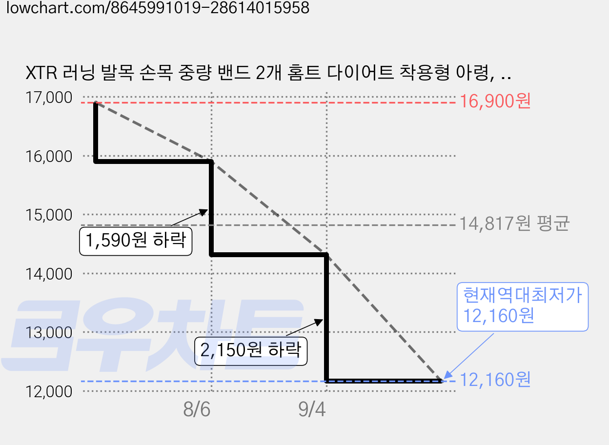 XTR 러닝 발목 손목 중량 밴드 2개 홈트 다이어트 착용형 아령, 1kg, 딥그린 가격 변동 차트, 현재가 12,160원, 역대최저가