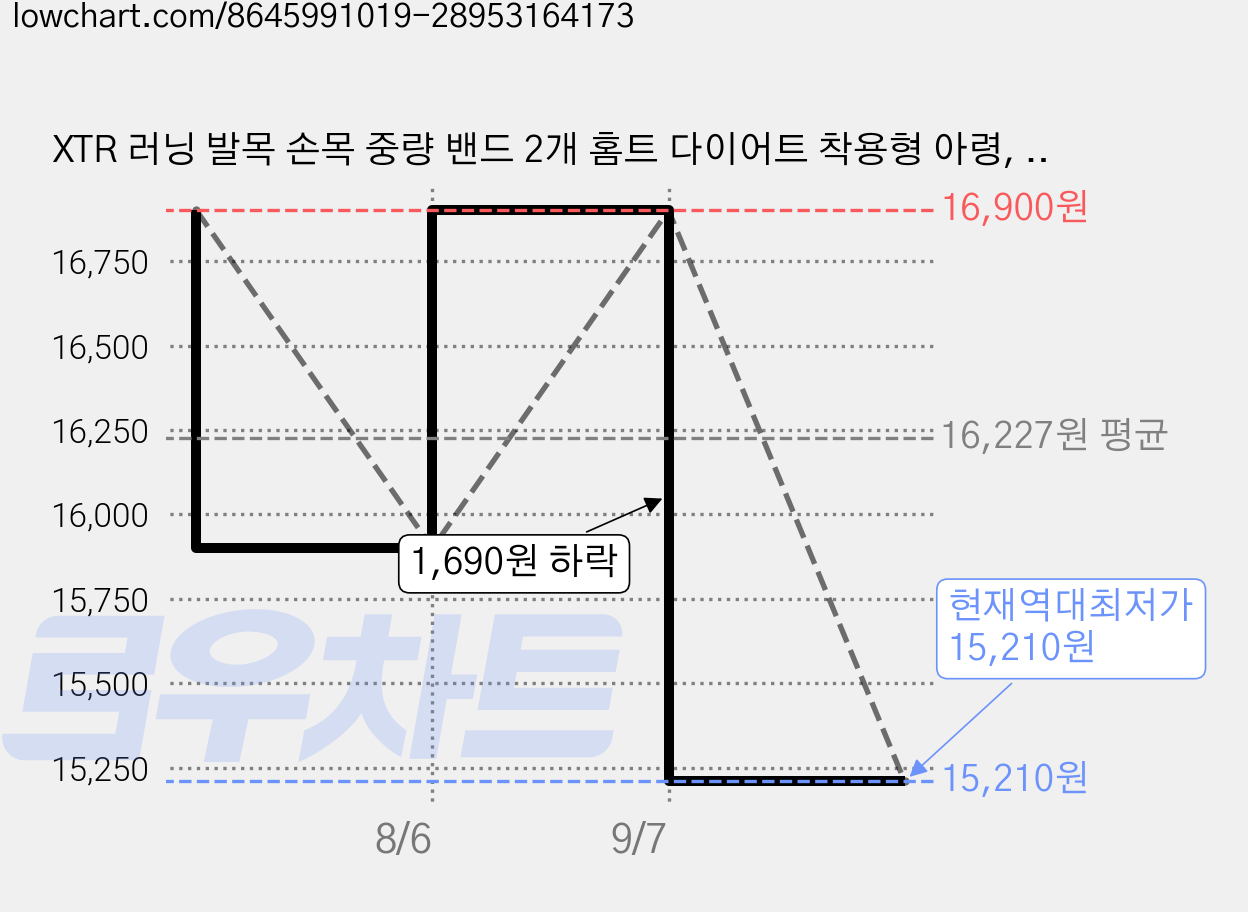 XTR 러닝 발목 손목 중량 밴드 2개 홈트 다이어트 착용형 아령, 1kg, 블랙 가격 변동 차트, 현재가 15,210원, 역대최저가