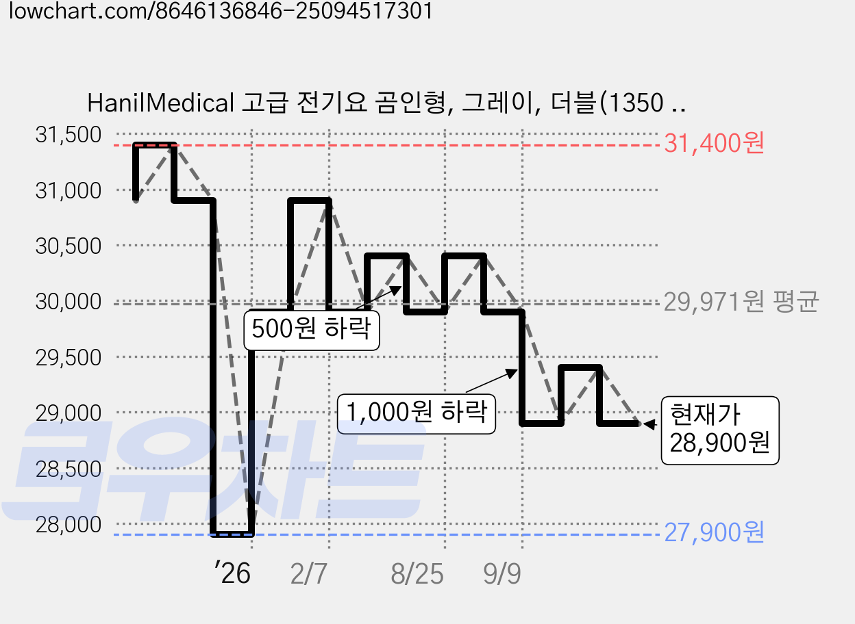 HanilMedical 고급 전기요 곰인형, 그레이, 더블(1350 x 1800 mm) 가격 변동 차트, 현재가 28,900원, 관측 최저가 27,900원