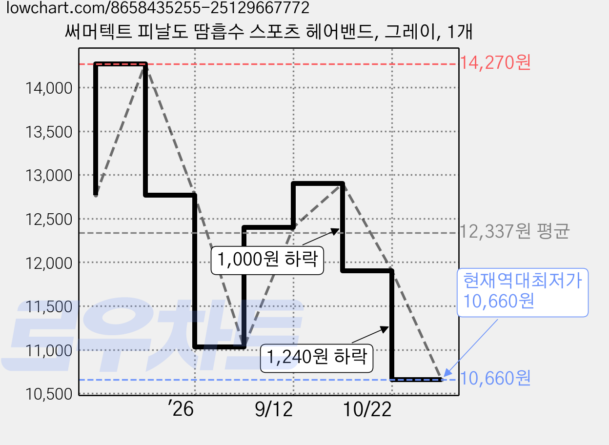 써머텍트 피날도 땀흡수 스포츠 헤어밴드, 그레이, 1개 가격 변동 차트, 현재가 10,660원, 역대최저가