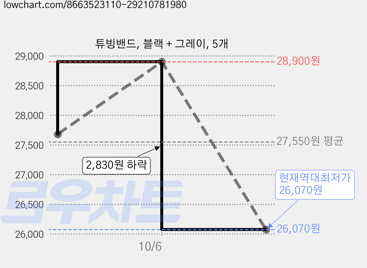 튜빙밴드, 블랙 + 그레이, 5개 가격 변동 차트, 현재가 26,070원, 역대최저가
