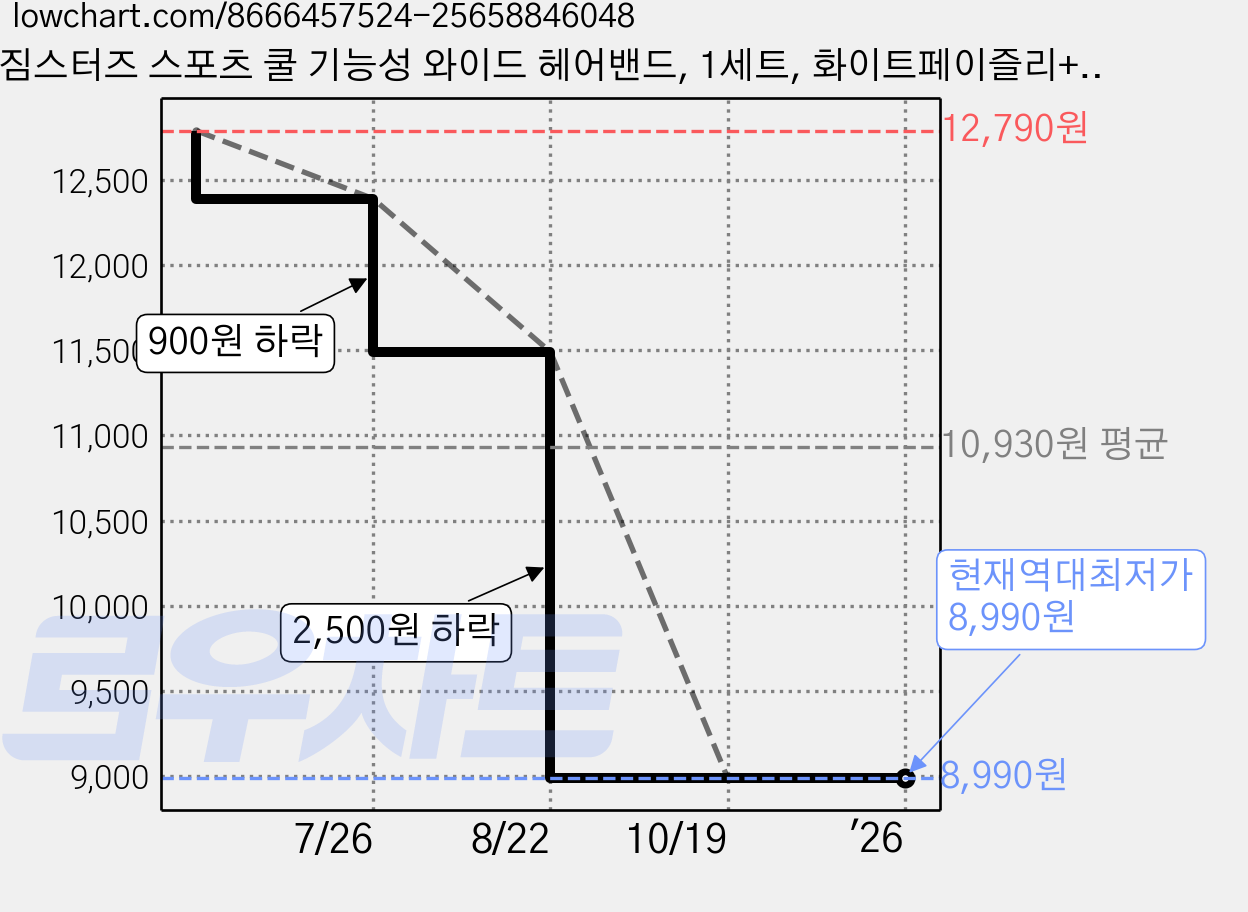 짐스터즈 스포츠 쿨 기능성 와이드 헤어밴드, 1세트, 화이트페이즐리+화이트페이즐리 가격 변동 차트, 현재가 8,990원, 역대최저가