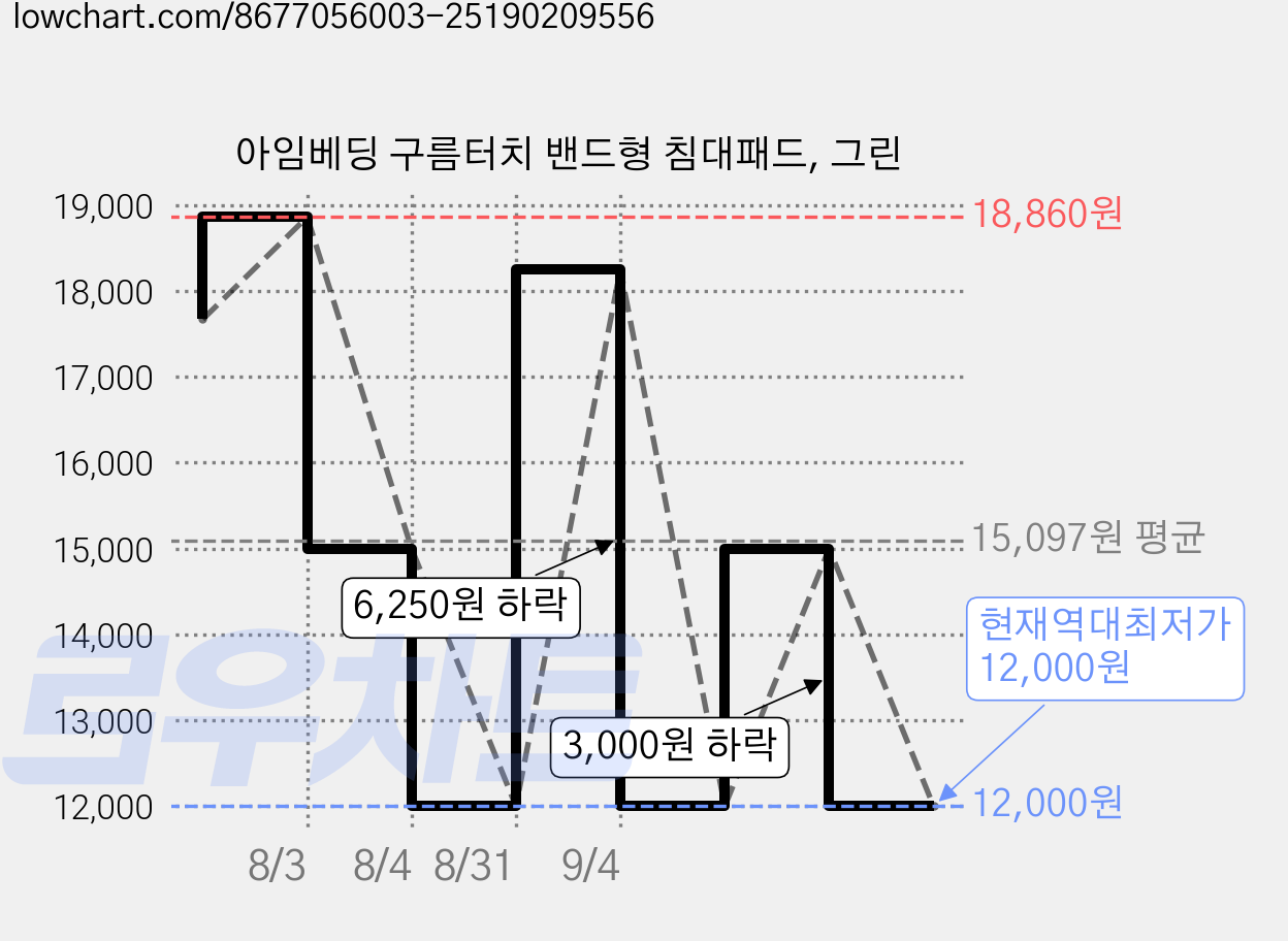 아임베딩 구름터치 밴드형 침대패드, 그린 가격 변동 차트, 현재가 12,000원, 역대최저가