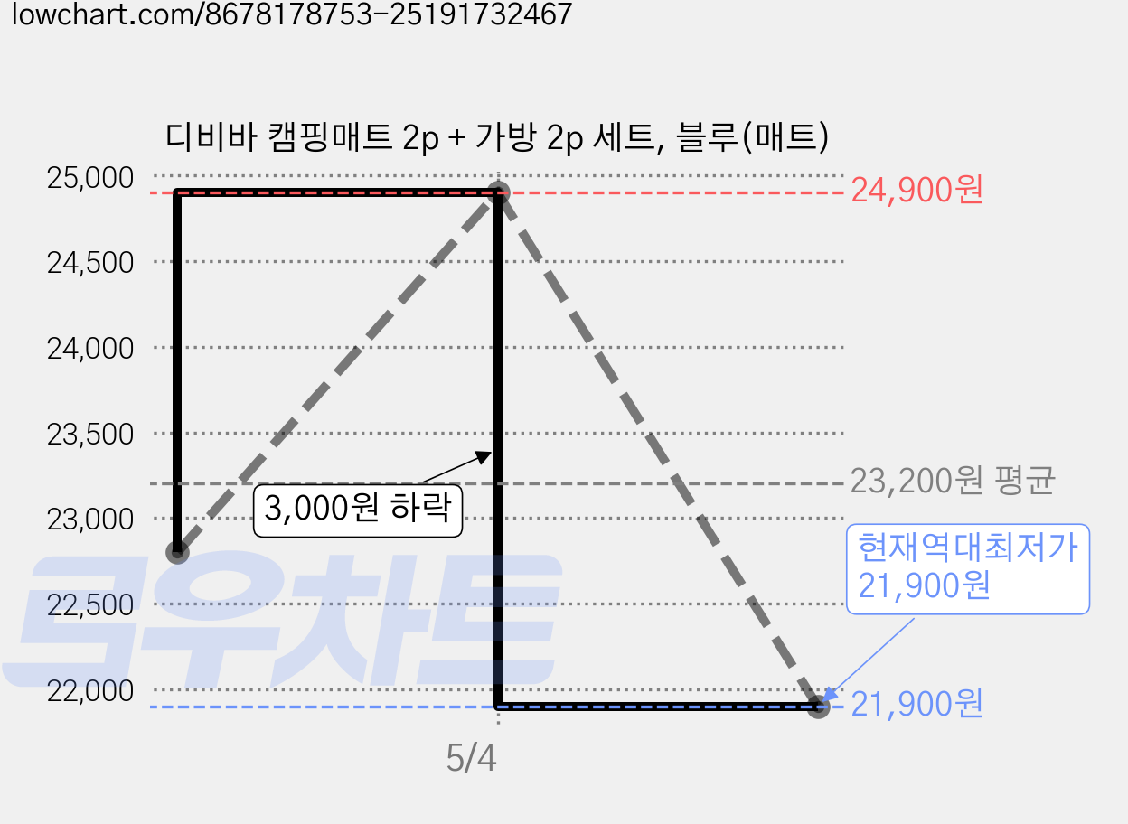 디비바 캠핑매트 2p + 가방 2p 세트, 블루(매트) 가격 변동 차트, 현재가 21,900원, 역대최저가