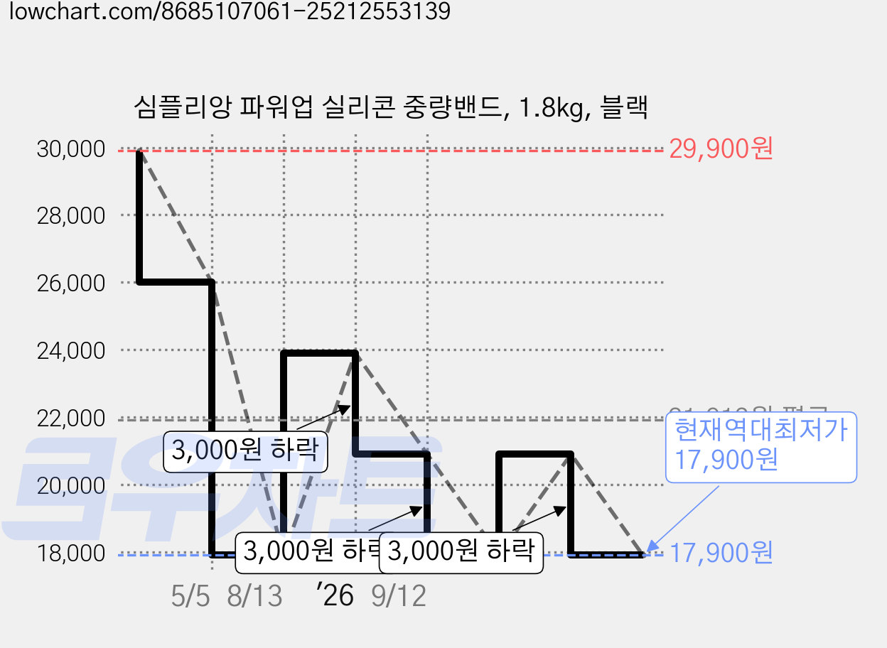 심플리앙 파워업 실리콘 중량밴드, 1.8kg, 블랙 가격 변동 차트, 현재가 17,900원, 역대최저가