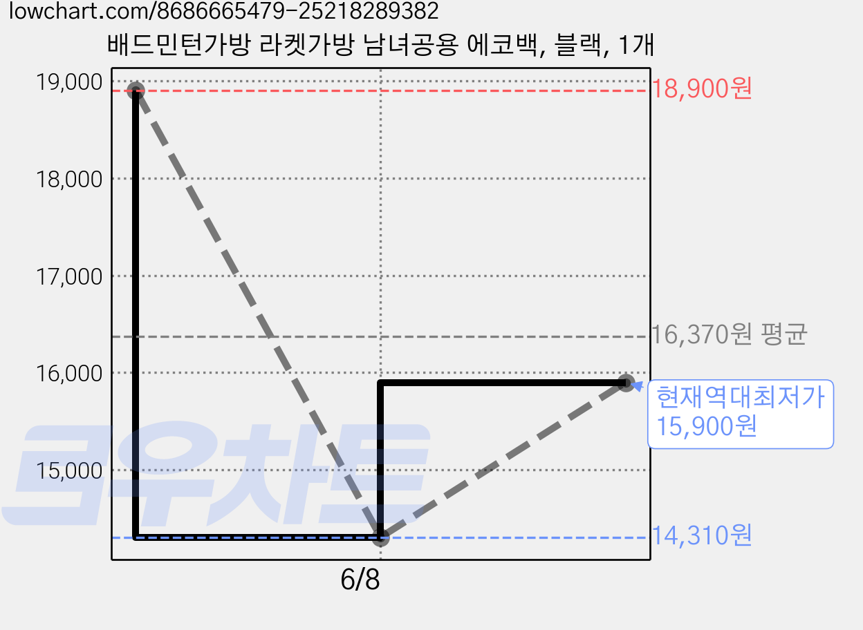 배드민턴가방 라켓가방 남녀공용 에코백, 블랙, 1개 가격 변동 차트, 현재가 15,900원, 역대최저가