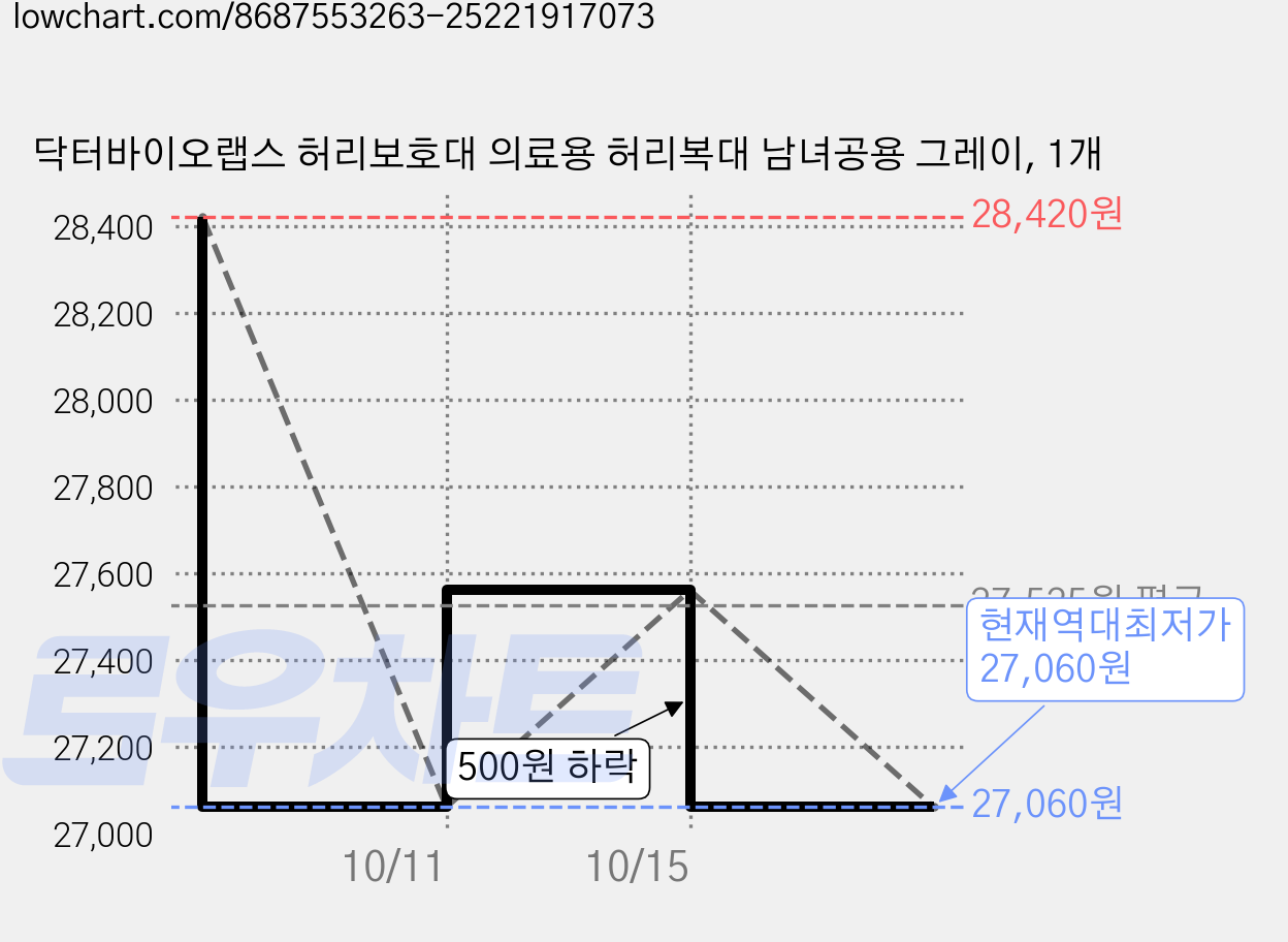 닥터바이오랩스 허리보호대 의료용 허리복대 남녀공용 그레이, 1개 가격 변동 차트, 현재가 27,060원, 역대최저가