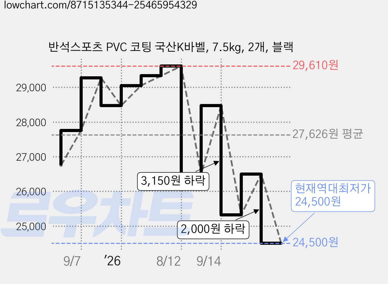 반석스포츠 PVC 코팅 국산K바벨, 7.5kg, 2개, 블랙 가격 변동 차트, 현재가 24,500원, 역대최저가