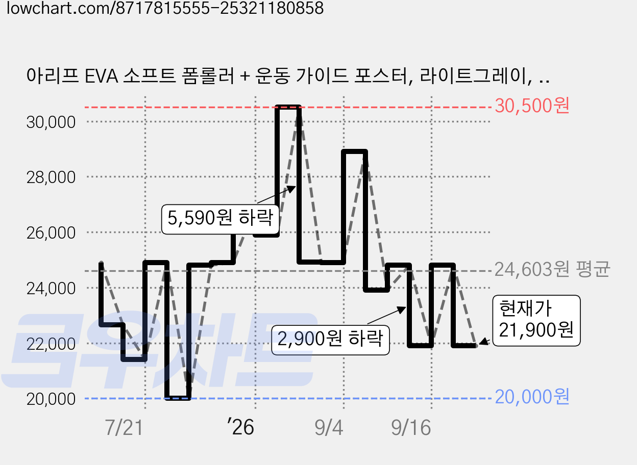 아리프 EVA 소프트 폼롤러 + 운동 가이드 포스터, 라이트그레이, 1개 가격 변동 차트, 현재가 21,900원, 관측 최저가 20,000원