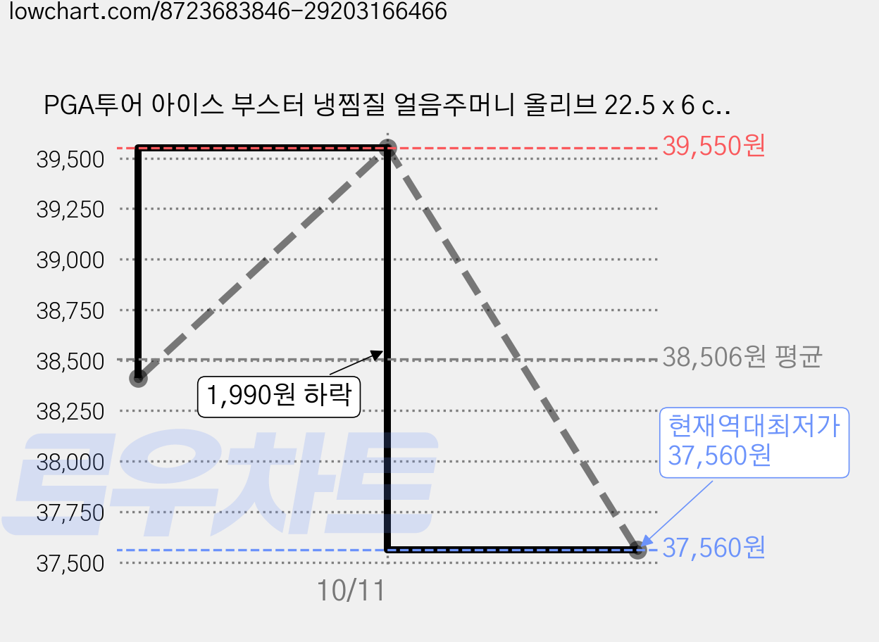 PGA투어 아이스 부스터 냉찜질 얼음주머니 올리브 22.5 x 6 cm, 6개 가격 변동 차트, 현재가 37,560원, 역대최저가