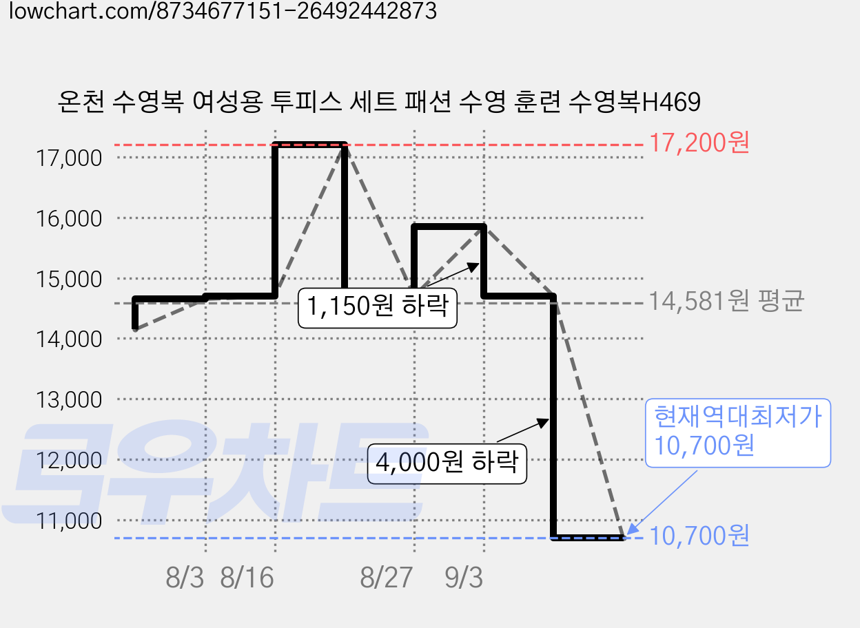 온천 수영복 여성용 투피스 세트 패션 수영 훈련 수영복H469 가격 변동 차트, 현재가 10,700원, 역대최저가