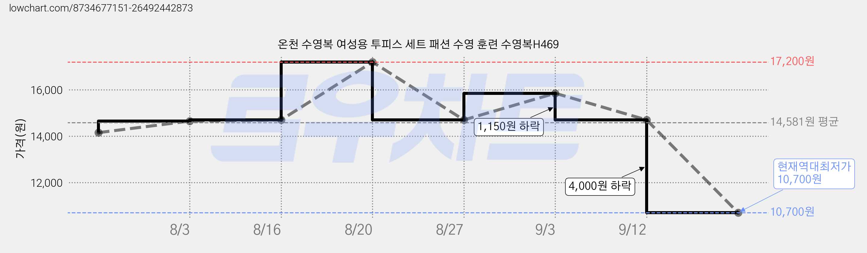 온천 수영복 여성용 투피스 세트 패션 수영 훈련 수영복H469 가격 변동 차트, 현재가 10,700원, 역대최저가