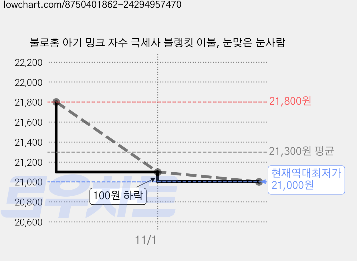 불로홈 아기 밍크 자수 극세사 블랭킷 이불, 눈맞은 눈사람 가격 변동 차트, 현재가 21,000원, 역대최저가