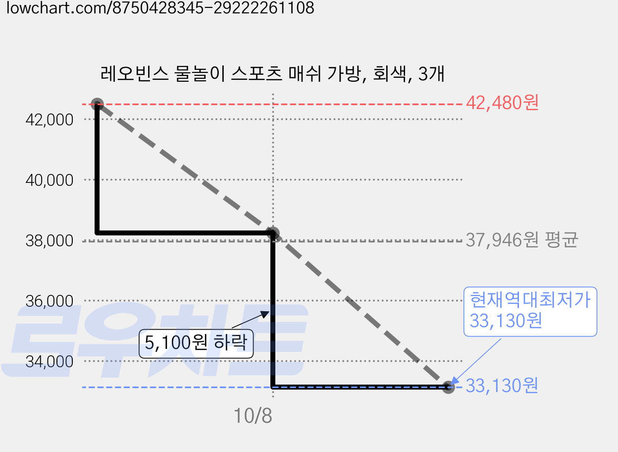 레오빈스 물놀이 스포츠 매쉬 가방, 회색, 3개 가격 변동 차트, 현재가 33,130원, 역대최저가
