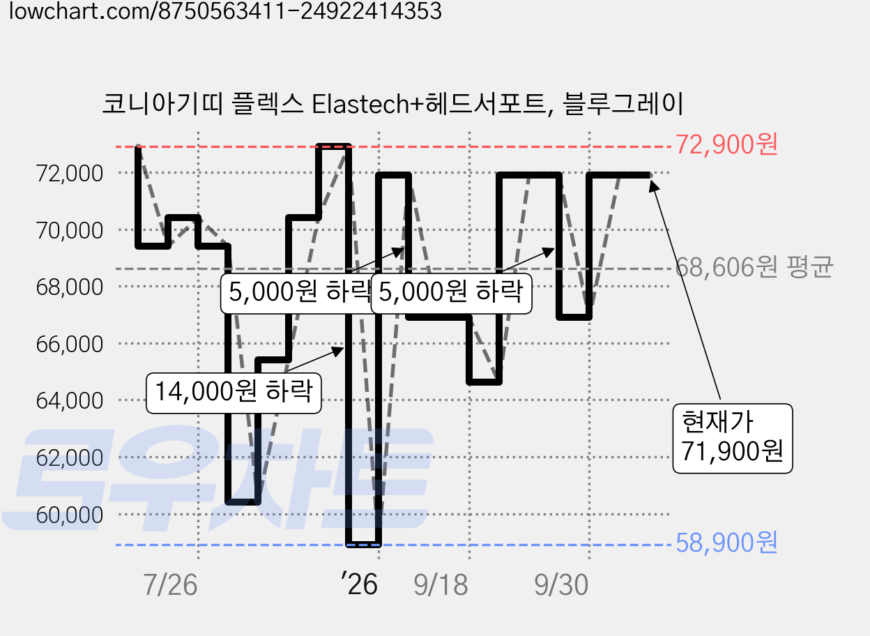코니아기띠 플렉스 Elastech+헤드서포트, 블루그레이 가격 변동 차트, 현재가 71,900원, 관측 최저가 58,900원