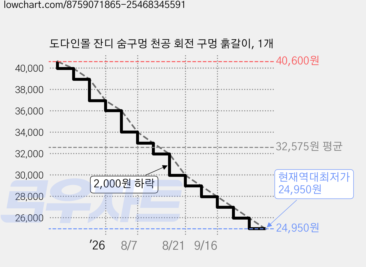 도다인몰 잔디 숨구멍 천공 회전 구멍 훍갈이, 1개 가격 변동 차트, 현재가 24,950원, 역대최저가