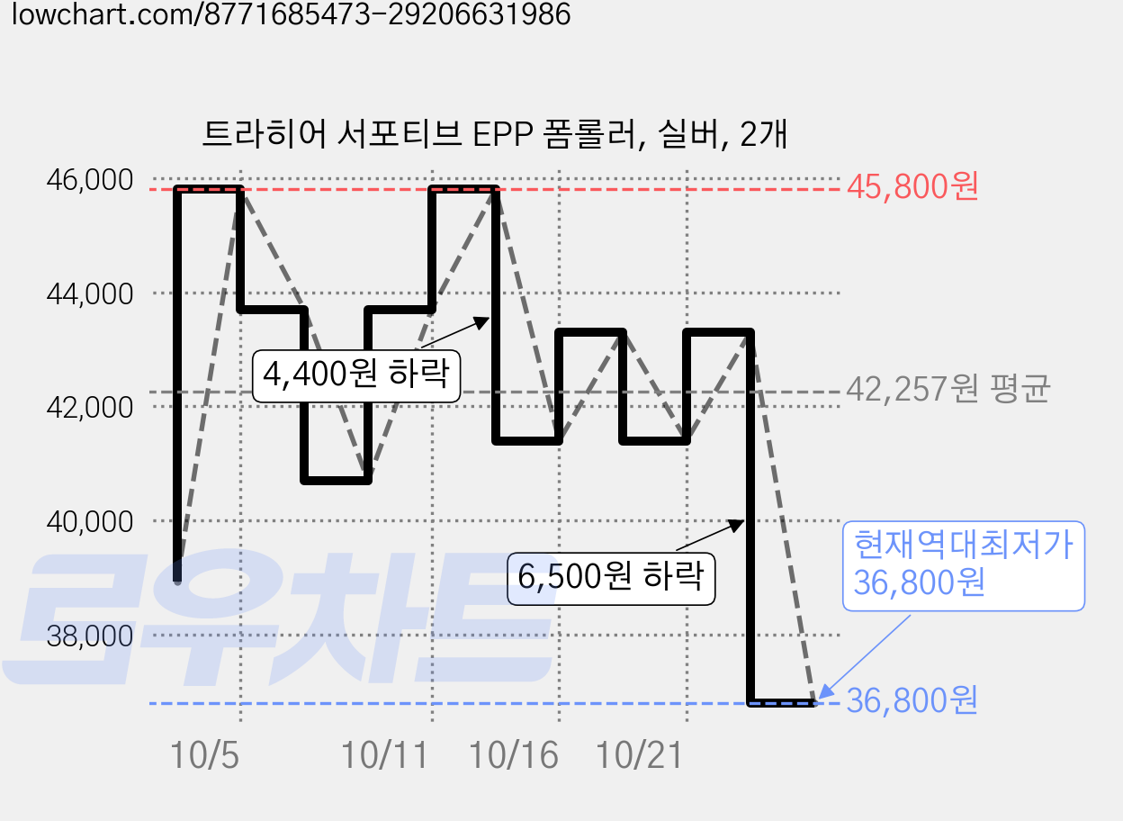 트라히어 서포티브 EPP 폼롤러, 실버, 2개 가격 변동 차트, 현재가 36,800원, 역대최저가